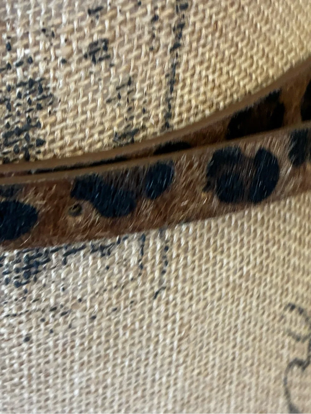 GAP Leopard Print Women's skinny belt Fall animal print calf hair gold buckle S